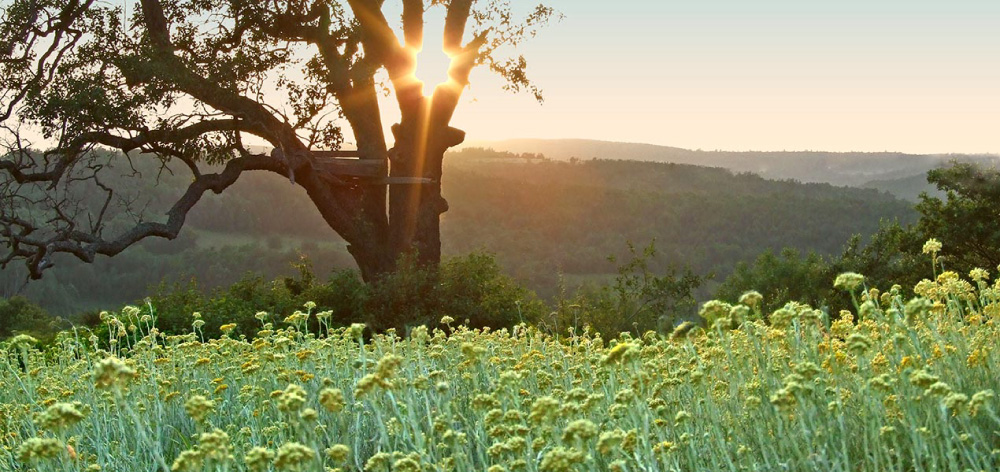 The natural grace of mountain Rtanj